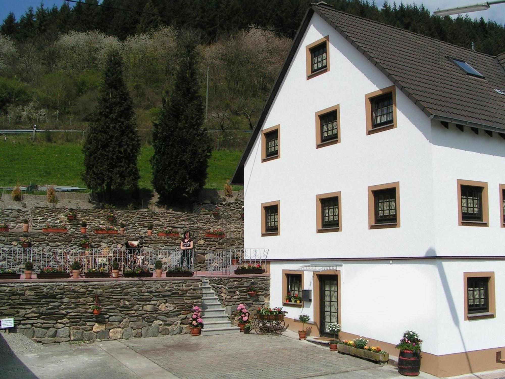 A Modern Apartment In The Hunsr Ck Region S Romantic Drohn Valley Merschbach Exterior foto